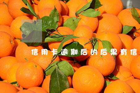 信用卡逾期后的后果有(“信用卡逾期”)