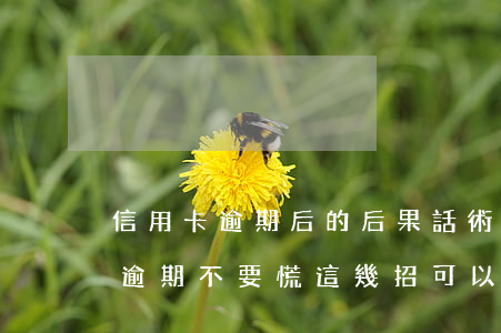 信用卡逾期后的后果話術(shù)(信用卡逾期?不要慌,這幾招可以補(bǔ)救!)