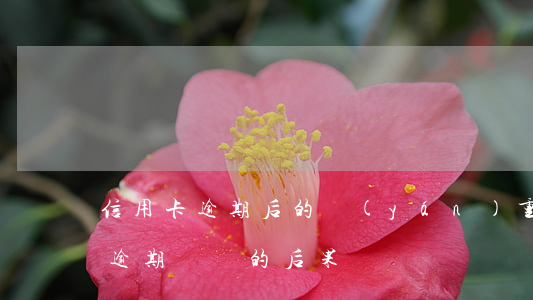 信用卡逾期后的嚴(yán)重后果(信用卡逾期帶來的后果)