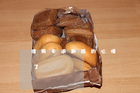 信用卡逾期后的心情說說(信用卡不小心逾期了)