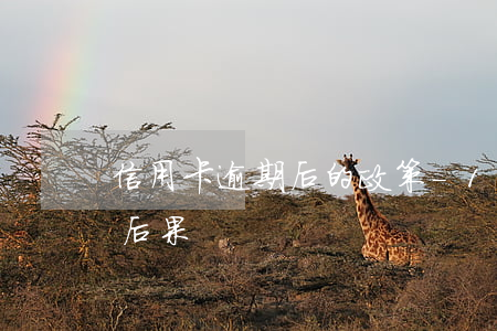 信用卡逾期后的政策-10張信用卡逾期的后果