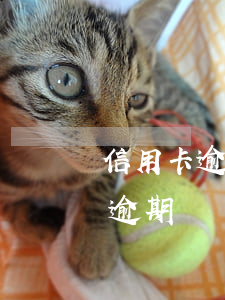 信用卡逾期后的政策依據(jù)-“信用卡逾期”