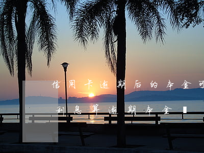 信用卡逾期后的本金可以分期嗎(分期還款的利息算逾期本金嗎)