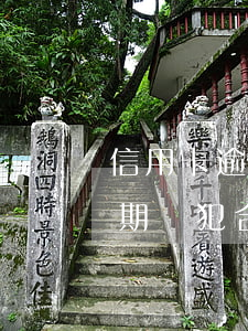 信用卡逾期后的法律依據(jù)(信用卡逾期觸犯合同法哪一條)