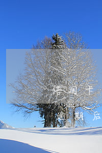 信用卡逾期后的滯納金和利息金額-信用卡逾期后的滯納金和利息金額怎么算