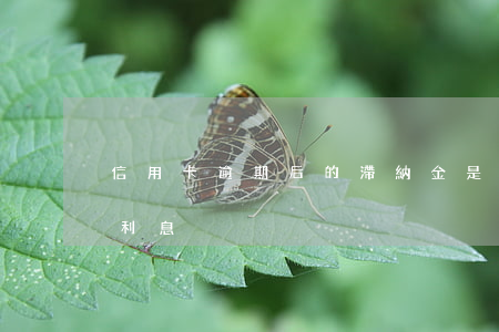 信用卡逾期后的滯納金是多少 滯納金和逾期利息