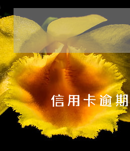 信用卡逾期后的痛苦事