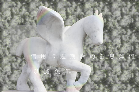 信用卡逾期后的罰息如何減免(逾期的罰息可以減免嗎)