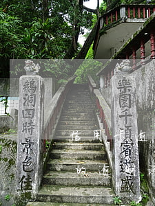 信用卡逾期后的记录可以消除吗(信用报告上的逾期记录多久能消除)