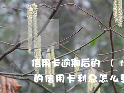 信用卡逾期后的費(fèi)用是多少(逾期的信用卡利息怎么算)