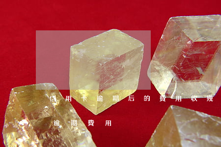 信用卡逾期后的費用收幾期后停止-信用卡 逾期 費用
