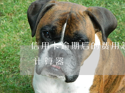 信用卡逾期后的费用怎么算(信用卡逾期费用计算器)