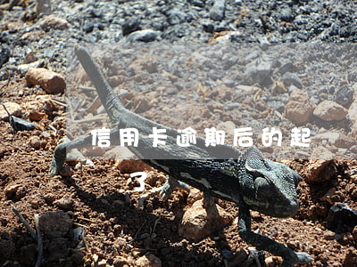 信用卡逾期后的起訴狀-欠信用卡逾期被起訴了