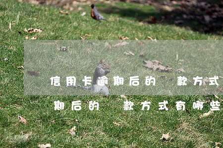 信用卡逾期后的還款方式有哪些-信用卡逾期后的還款方式有哪些呢