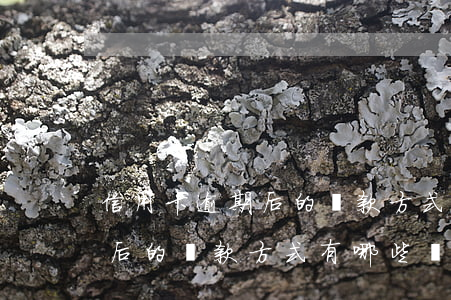 信用卡逾期后的還款方式有哪些 信用卡逾期后的還款方式有哪些變化