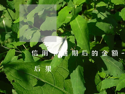 信用卡逾期后的金額-10張信用卡逾期的后果
