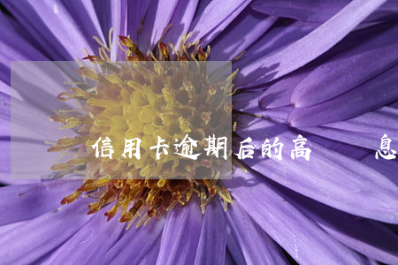 信用卡逾期后的高額罰息(信用卡逾期罰金)
