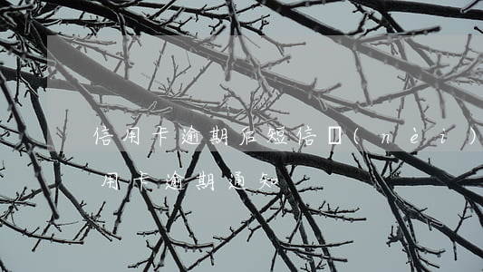 信用卡逾期后短信內(nèi)容文字-信用卡 逾期 通知