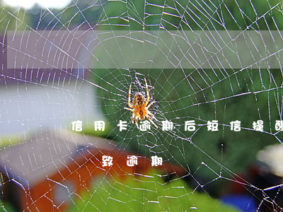 信用卡逾期后短信提醒沒有了(沒有短信提醒導致逾期)