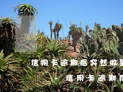 信用卡逾期后突然收到經(jīng)偵科傳喚-信用卡逾期后突然收到經(jīng)偵科傳喚通知