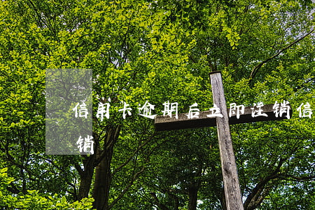 信用卡逾期后立即注销(信用卡逾期后立即注销)