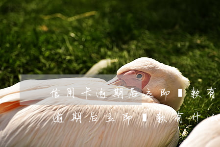 信用卡逾期后立即還款有什么影響-信用卡逾期后立即還款有什么影響嗎