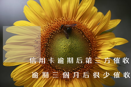 信用卡逾期后第三方催收短信(為什么信用卡逾期三個月后很少催收電話)