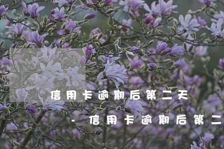 信用卡逾期后第二天還會(huì)有利息嗎-信用卡逾期后第二天還會(huì)有利息嗎怎么算