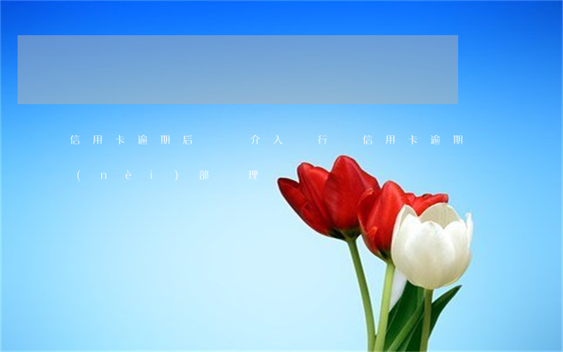 信用卡逾期后紀檢介入(銀行對信用卡逾期內(nèi)部處理)