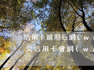 信用卡逾期后網(wǎng)上通緝怎么辦(欠信用卡會網(wǎng)上追逃嗎)