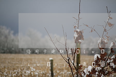 信用卡逾期后網(wǎng)商貸被降了(網(wǎng)商貸逾期后面還了 會(huì)影響信用嗎)