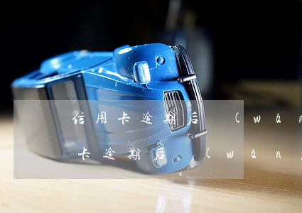 信用卡逾期后網(wǎng)貸借不了(信用卡逾期后網(wǎng)貸借不了)