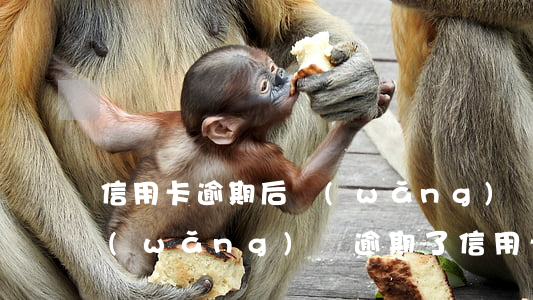 信用卡逾期后網(wǎng)貸怎么處理(網(wǎng)貸逾期了信用卡還能正常使用嗎)