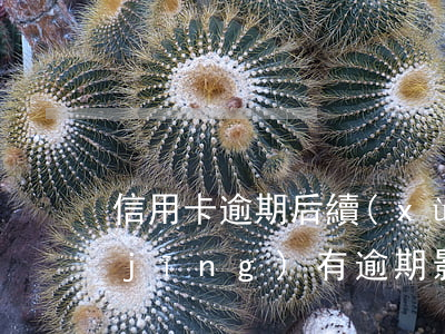 信用卡逾期后續(xù)影響(信用卡 曾經(jīng)有逾期 影響)