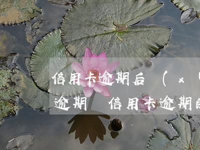 信用卡逾期后續(xù)責(zé)任 貸款逾期與信用卡逾期的后果是什么
