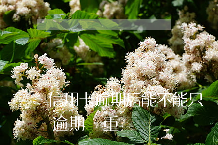 信用卡逾期后能不能只還最低(低額度信用卡逾期嚴重嗎)