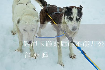 信用卡逾期后能不能开公司(办信用卡有逾期能办吗)