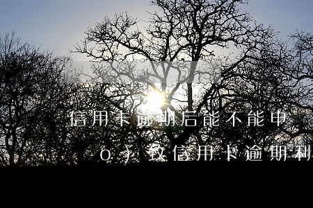 信用卡逾期后能不能申請減免(因疫情導(dǎo)致信用卡逾期利息不給減免怎么辦)