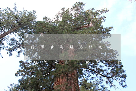 信用卡逾期后能做汽車貸款嗎-有信用卡逾期,可以用車抵押貸款嗎?