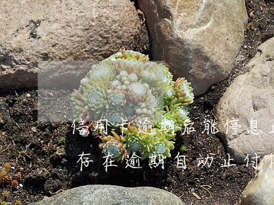 信用卡逾期后能停息止付吗(兴业银行因他行存在逾期自动止付信用卡)