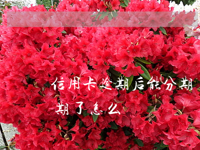 信用卡逾期后能分期還款么(分期的信用卡逾期了怎么辦)