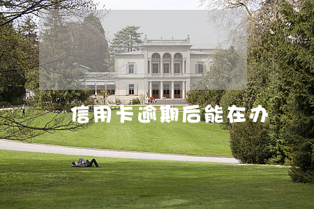 信用卡逾期后能在办