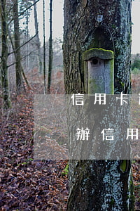 信用卡逾期后能在外地辦理嗎(之前有逾期能辦信用卡嗎)