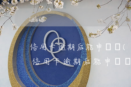 信用卡逾期后能申請調(diào)額度嗎（信用卡逾期后能申請調(diào)額度嗎）