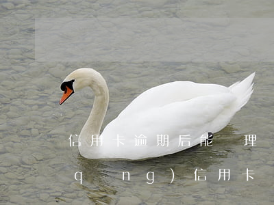 信用卡逾期后能處理嗎-逾期后還能申請(qǐng)信用卡嗎