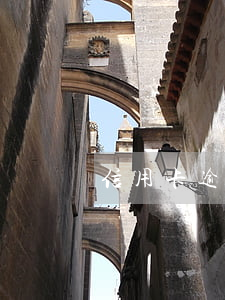 信用卡逾期后能补卡吗(逾期了信用卡)