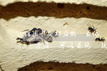 信用卡逾期后能還最低還款嗎(信用卡逾期一個月后還可以最低還款嗎)