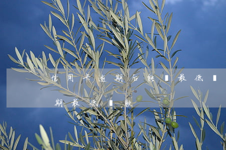 信用卡逾期后能還最低還款額嗎-信用卡 逾期 最低還款