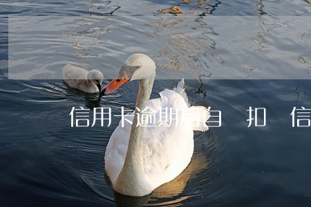 信用卡逾期后自動扣錢(信用卡逾期后自動扣錢)