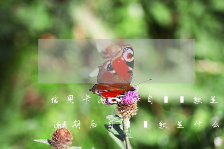 信用卡逾期后自動還款是什么意思-信用卡逾期后自動還款是什么意思啊